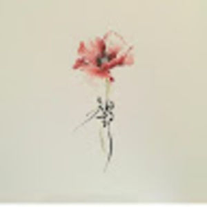 Meet your Posher, Ari